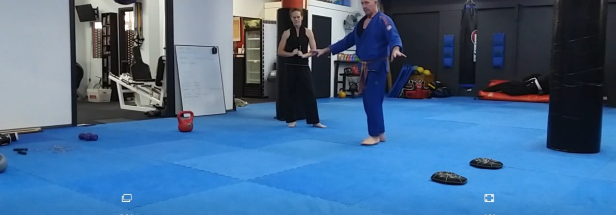 Martial Arts Online Training