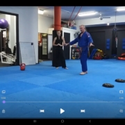 Martial Arts Online Training
