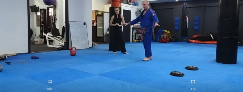 Martial Arts Online Training