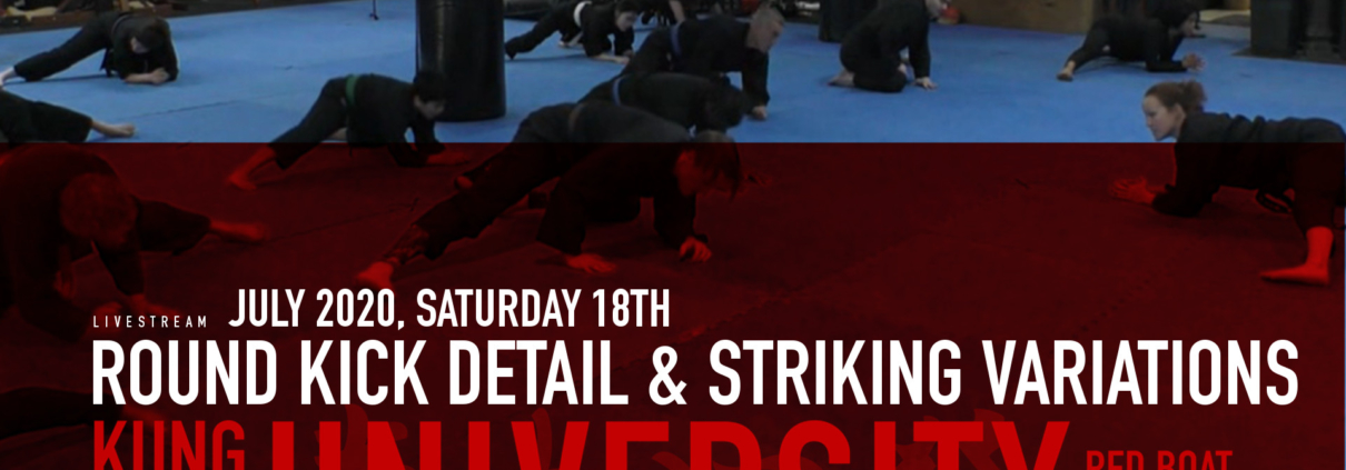 wing chun class live stream online