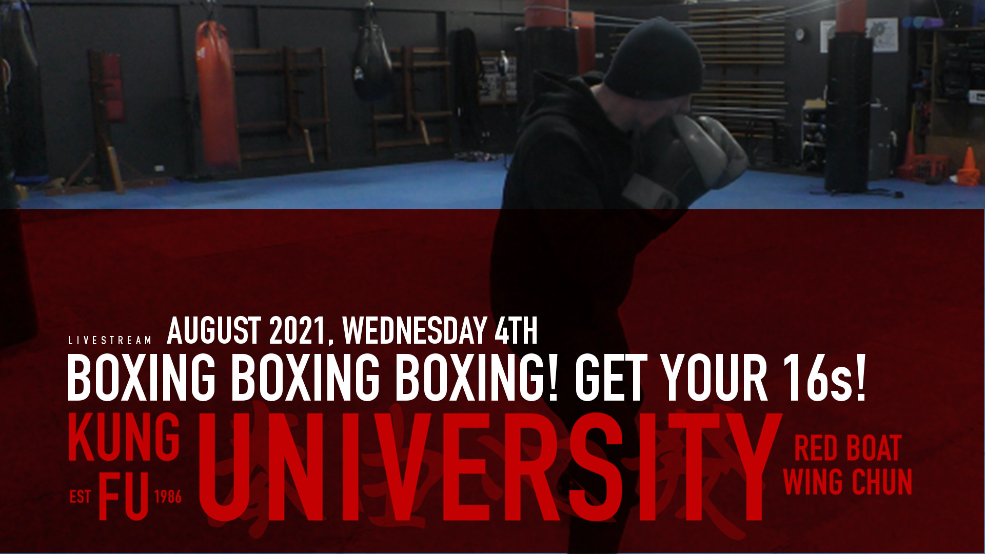 learn boxing online