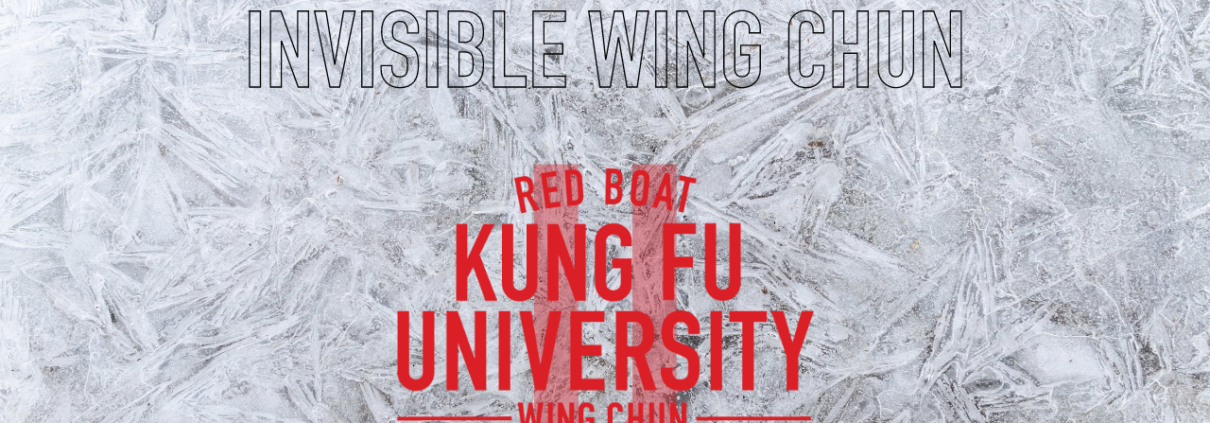 invisible wing chun online course