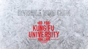 invisible wing chun online course