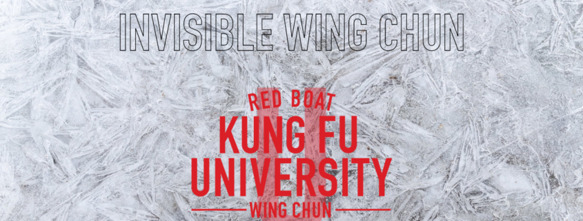 invisible wing chun online course