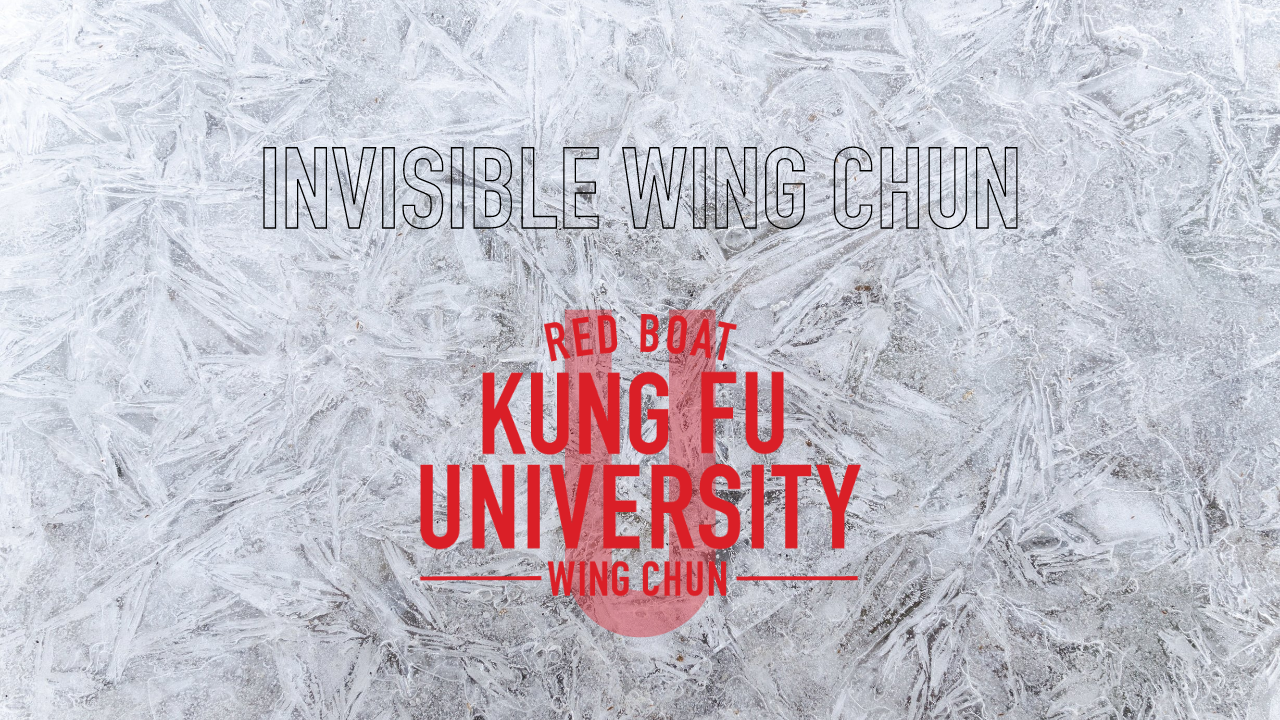 invisible wing chun online course